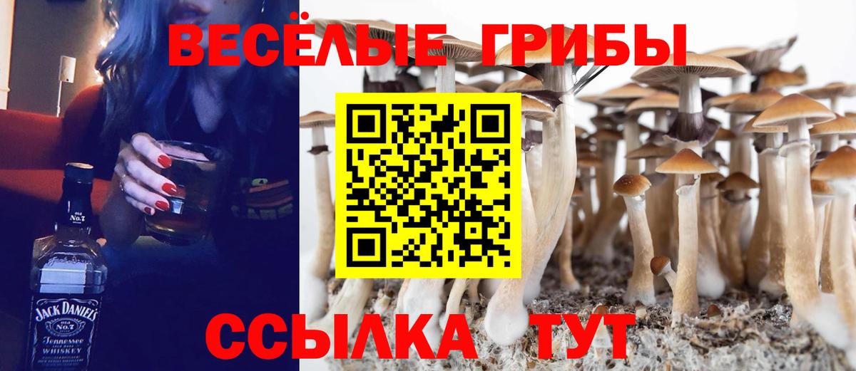 Нижнеудинск  Псилоцибиновые грибы прущие грибы  Вход с VPN  Галлюциногенные грибы мухоморы 